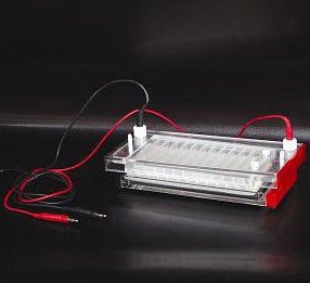 �������z�Ӿ�x(��)DYCP-44N��