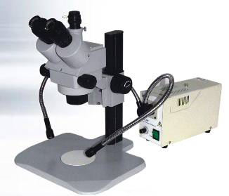 �m(x��)׃���wҕ�@΢�RXTL+8V+LG