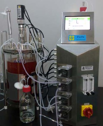 ��(sh��)�(y��n)���̈́��：(x��)�����B(y��ng)���ﷴ��(y��ng)��